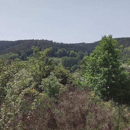 Sessles Waldhaeusschen Dietzhausen Suhl Dış mekan fotoğraf