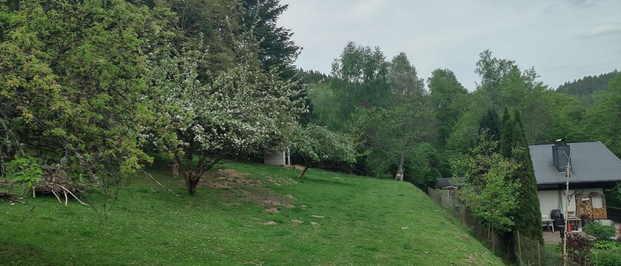 Sessles Waldhaeusschen Dietzhausen Suhl Dış mekan fotoğraf