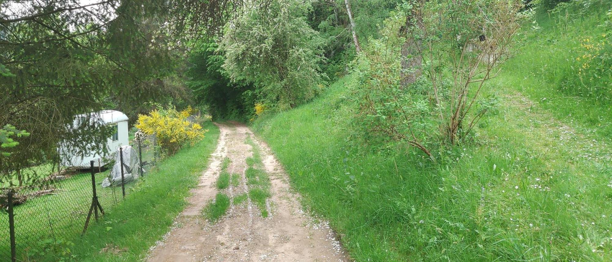 Sessles Waldhaeusschen Dietzhausen Suhl Dış mekan fotoğraf