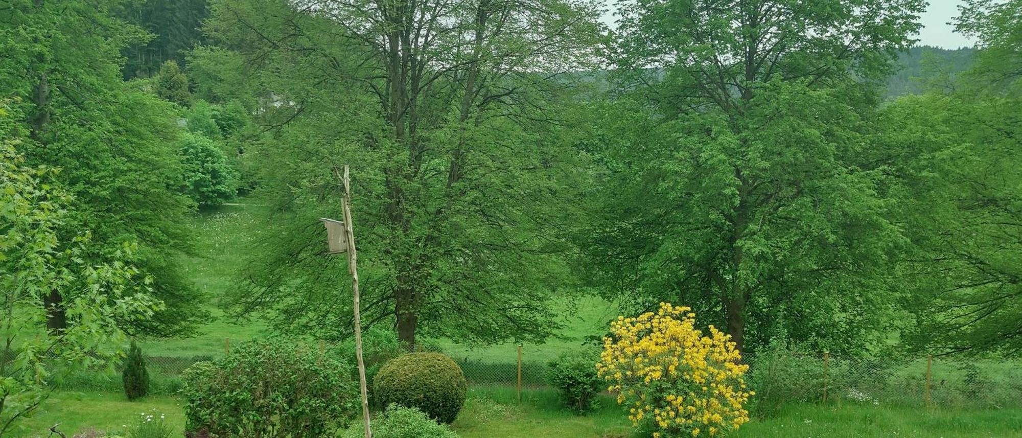 Sessles Waldhaeusschen Dietzhausen Suhl Dış mekan fotoğraf